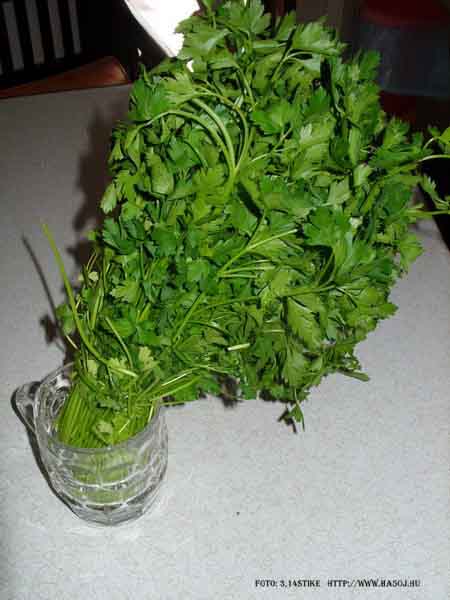 Cikkek k&eacute;pei: petrezselyem.jpg