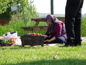 Hírek képei: mavipicnic4.jpg Hírek képei: mavipicnic4.jpg
