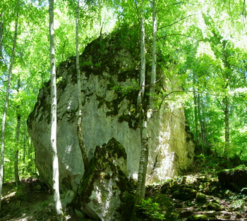 Hírek képei: yedigoller08.jpg Hírek képei: yedigoller08.jpg